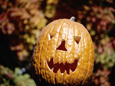 The Toothy Grin of a Halloween Jack-O-Lantern with Seasonal Backdrop