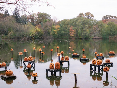 This Water Based Jack-O-Lantern Display in the Halloween Spectacular