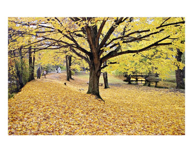 Halloween Scenic, New Jersey