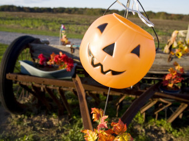 Jack-O-Lantern Swings from an Old Plow Celebrating Halloween