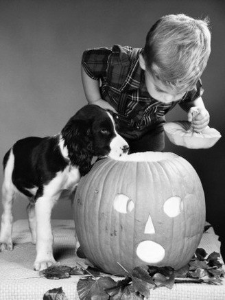 Boy Taking Lid Off of Halloween Jack-O-Lantern and Looking Down Inside