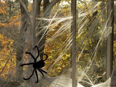 Spider and Web Halloween Decorations on a Porch